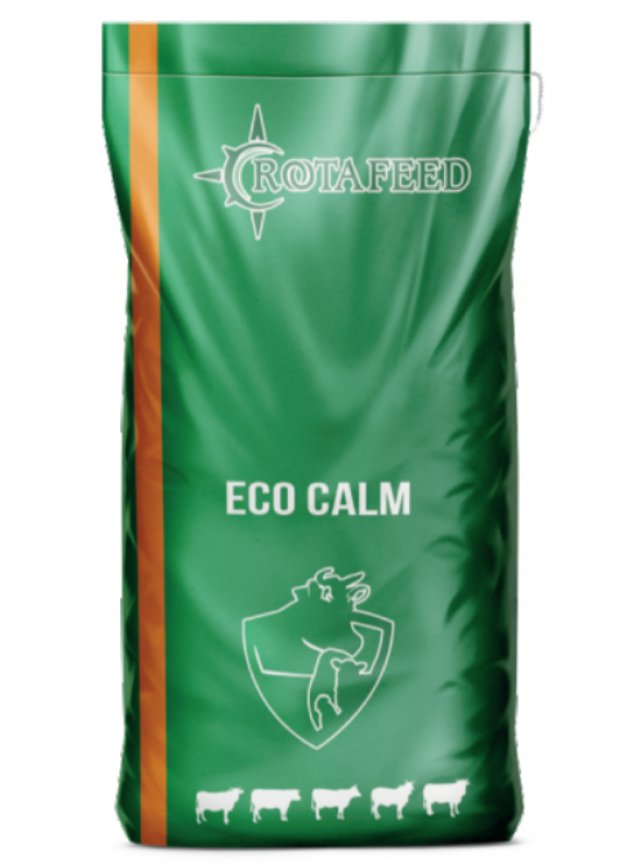 Eco Calm