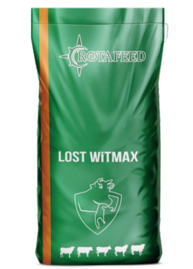 Lost Witmax